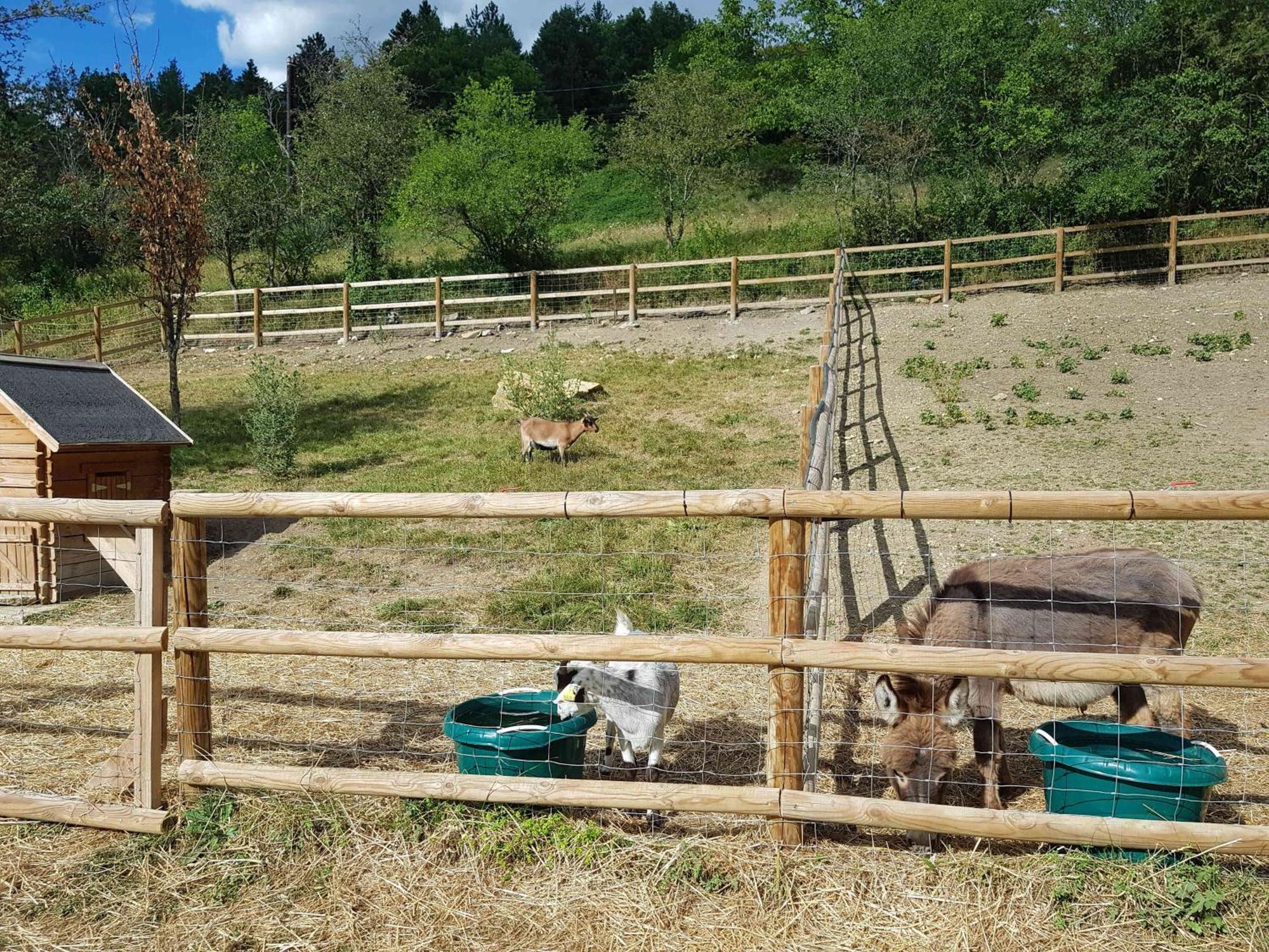Camping La Ferme De カステラーヌ エクステリア 写真