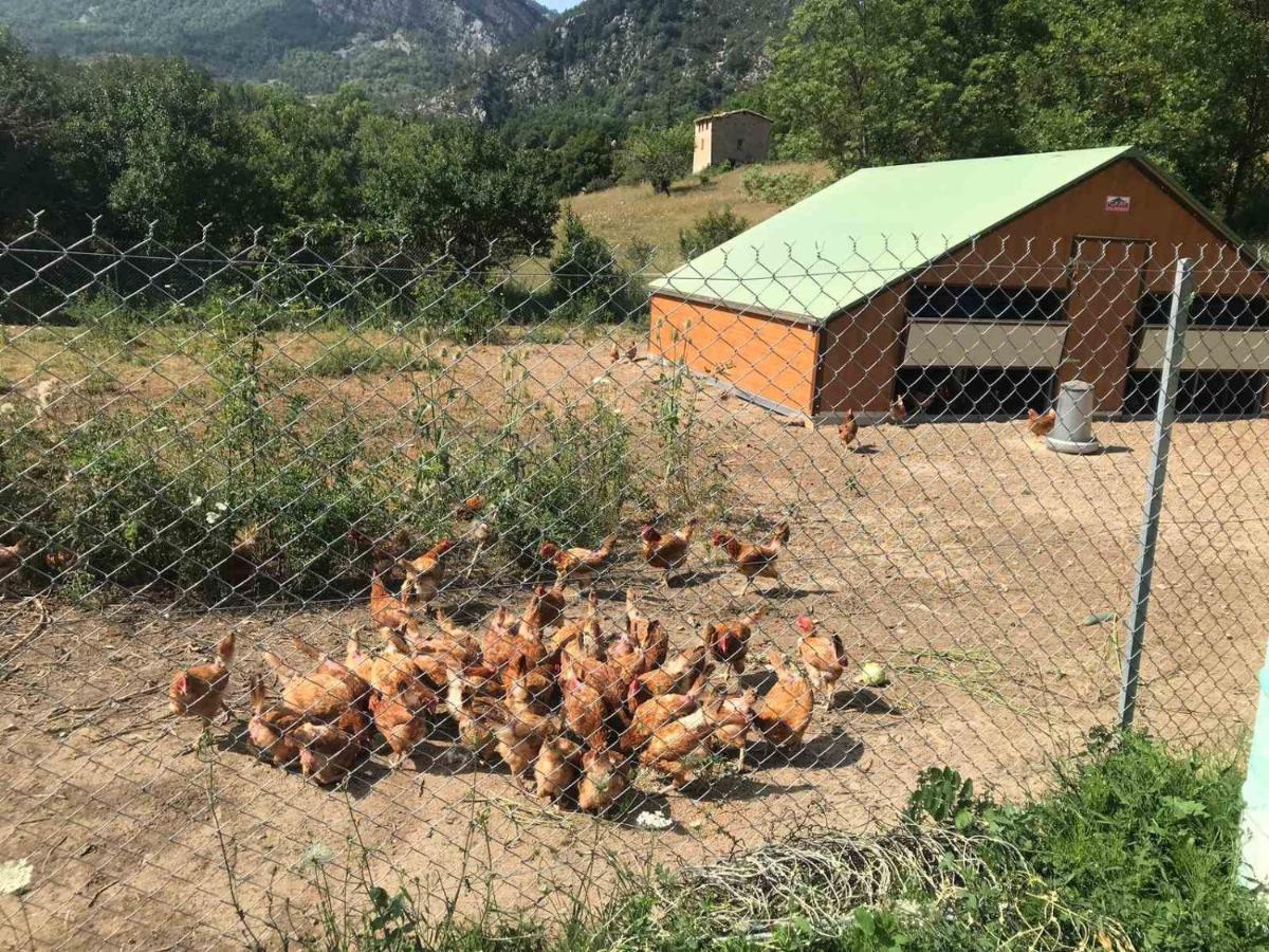 Camping La Ferme De カステラーヌ エクステリア 写真