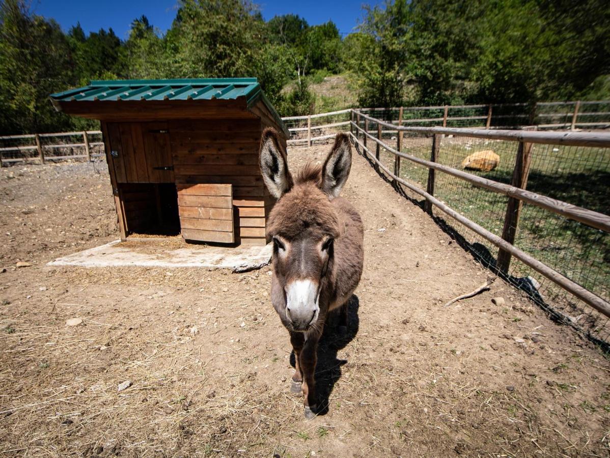 Camping La Ferme De カステラーヌ エクステリア 写真